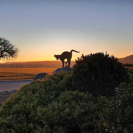 Holiday home Robinson Romantikpfad 162 *